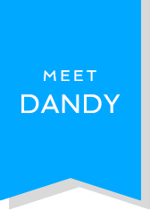 Meet Dandy